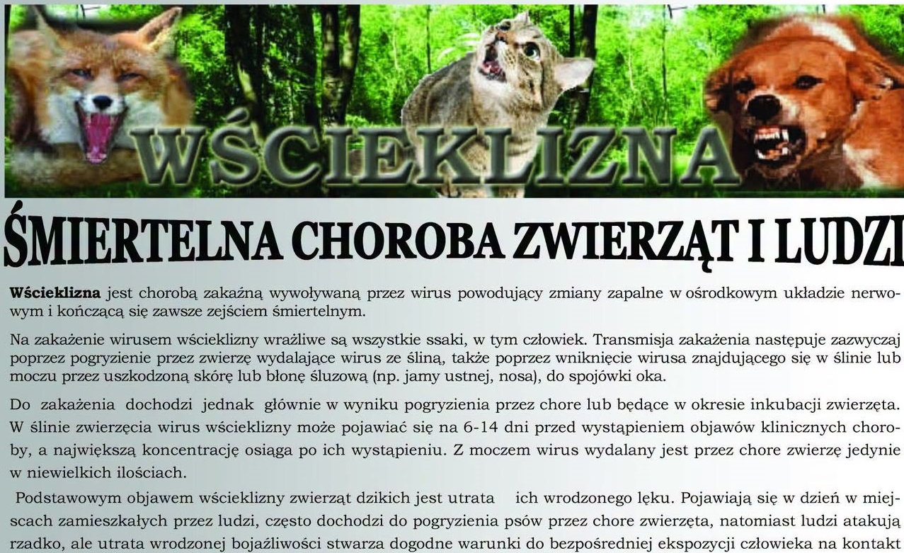 Lokalna Gazeta Internetowa 4 Wścieklizna Na Wschodzie Kraju. Powiatowy Lekarz Weterynarii W Przeworsku Przypomina