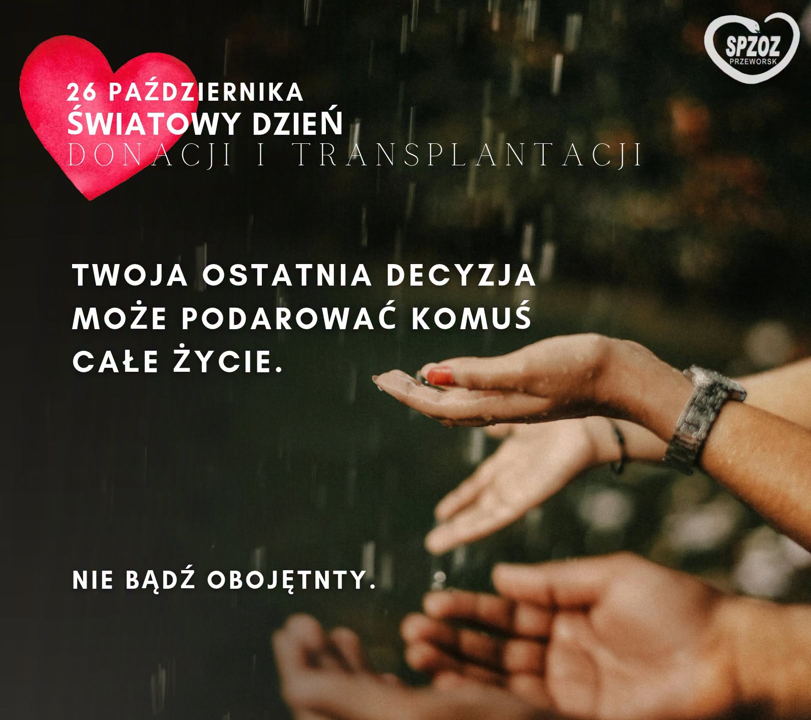 Lokalna Gazeta Internetowa 39 Lokalna Gazeta Internetowa