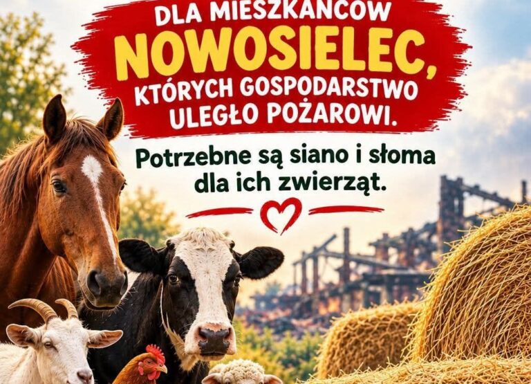 Wielka mobilizacja po pożarze w Nowosielcach