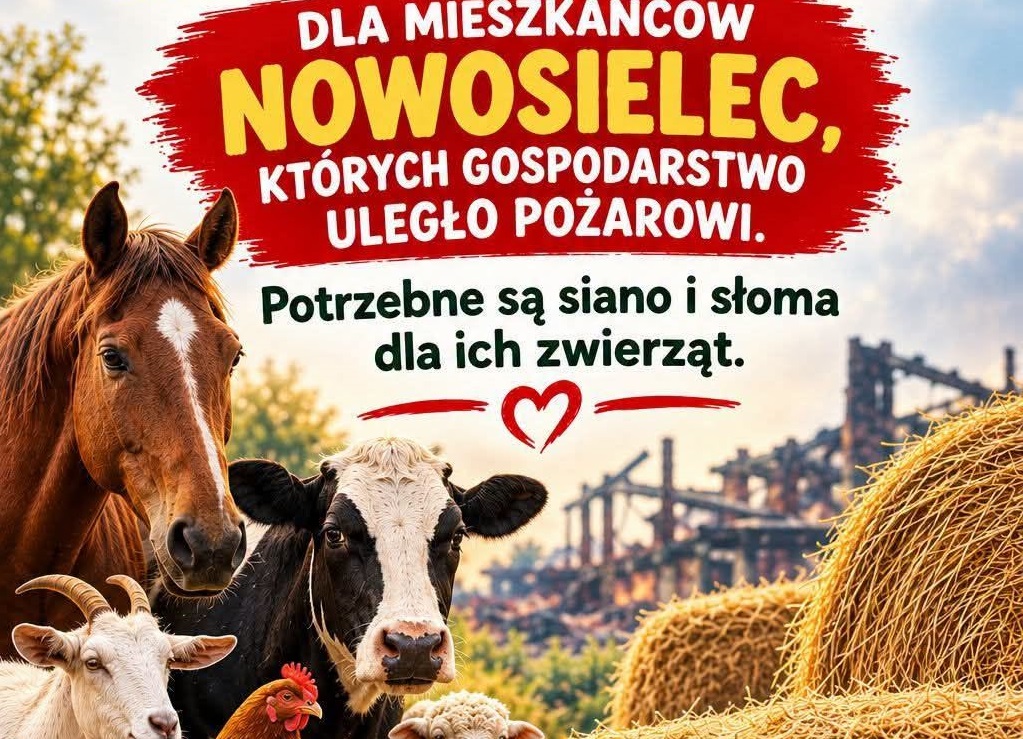 Lokalna Gazeta Internetowa 5 Wielka Mobilizacja Po Pożarze W Nowosielcach