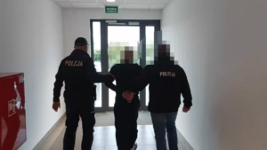 Areszt tymczasowy dla 38-latka podejrzanego o kradzież blisko 160 tysięcy złotych
