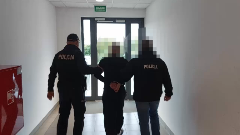 Areszt tymczasowy dla 38-latka podejrzanego o kradzież blisko 160 tysięcy złotych